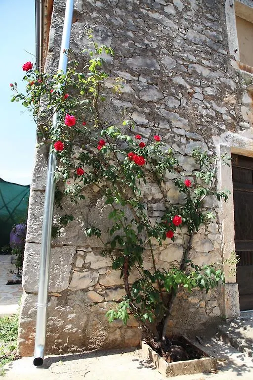 Casa Vecia Villa Brtonigla