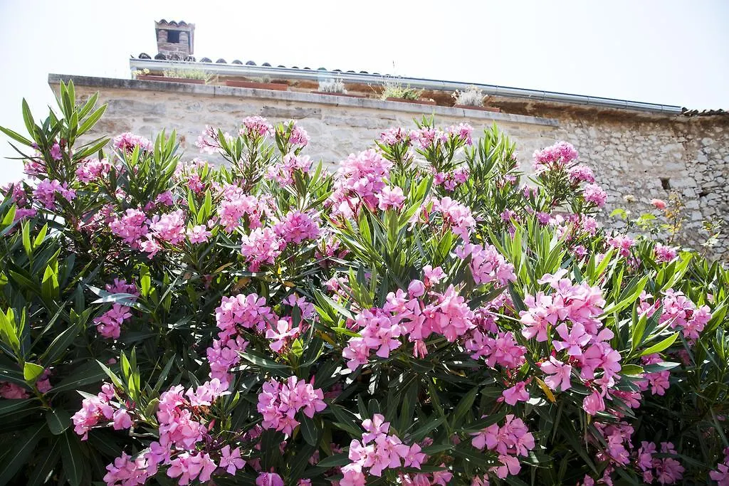 Casa Vecia Villa Brtonigla
